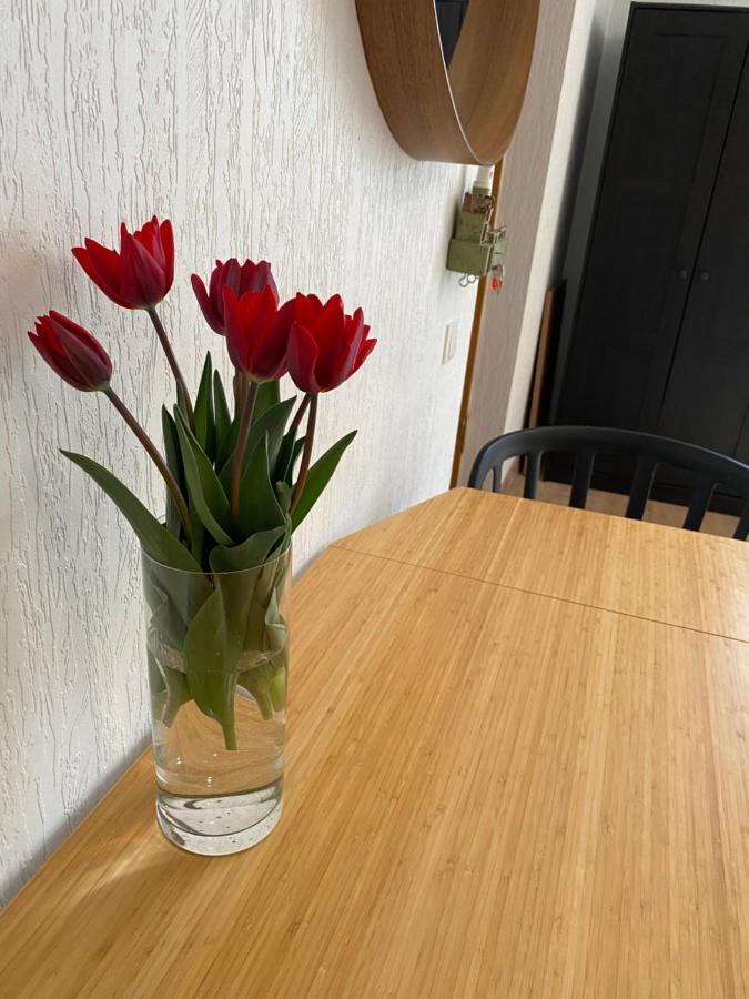 Taikos 3 Studio Nida Eksteriør bilde